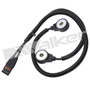 Walker Products Ignition Knock (Detonation) Sensor 242-1186