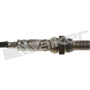 Walker Products Oxygen Sensor 350-34319 for 2010-2013 Land Rover 5.0L (LR4, Range Rover, Range Rover Sport)