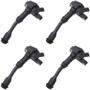 ThunderSpark Ignition Coil Set 928-4128-4