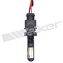 Walker Products Air Charge Temperature Sensor 210-91051 for 1997-2006 Audi/Volkswagen 2.8L 1.8L (A4, A4 Quattro, A6, A6 Quattro)