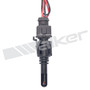 Walker Products Air Charge Temperature Sensor 210-91052 for 1995-2006 BMW/Land Rover 1.9L 2.5L (318i, 318is, 318ti, 323Ci)