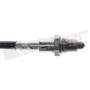 Walker Products Oxygen Sensor 250-241337 for 2021-2025 Ford 3.5L 6.2L (F-150, F-250 Super Duty, F-350 Super Duty)