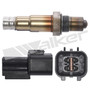 Walker Products Oxygen Sensor 350-34238 for 1997-2000 Mitsubishi 3.0L 3.5L (Montero Sport)