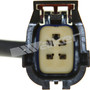 Walker Products Oxygen Sensor 350-34291 for 2001-2003 Chrysler/Dodge 3.8L 3.3L (Grand Voyager, Town & Country, Voyager, Caravan)