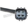 Walker Products Oxygen Sensor 350-341029 for 2016-2025 Lexus 3.5L (GS350, IS300, IS350, RC300)