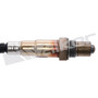 Walker Products Oxygen Sensor 350-341033 for 2018-2024 Cadillac/Chevrolet 3.6L 3.0L (ATS, CT4, CT5, CT6)
