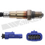 Walker Products Oxygen Sensor 350-341033 for 2018-2024 Cadillac/Chevrolet 3.6L 3.0L (ATS, CT4, CT5, CT6)