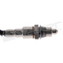 Walker Products Oxygen Sensor 350-341079 for 2020-2025 Jaguar/Land Rover 2.0L (E-Pace, Range Rover Evoque)