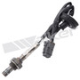 Walker Products Oxygen Sensor 250-24379 for 1996-1997 Hyundai 1.5L 1.8L (Accent, Elantra, Tiburon)