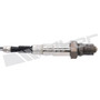 Walker Products Oxygen Sensor 250-24393 for 2000-2003 Audi 4.2L (A8 Quattro, S8)