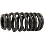 Crown Automotive 5184060AN Engine Valve Spring 2-Pack - Fits 2018-2024 Ram JL Wrangler