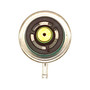 Holstein Fuel Pressure Regulator 2FPR0012