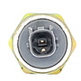 Holstein Ignition Knock (Detonation) Sensor 2KNC0219