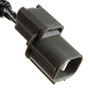 Holstein Engine Crankshaft Position Sensor 2CRK0033
