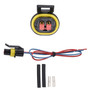 Walker Products Electrical Pigtail 270-1062