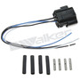 Walker Products Electrical Pigtail 270-1011