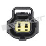 Walker Products Electrical Pigtail 270-1055