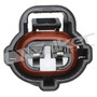 Walker Products Electrical Pigtail 270-1136