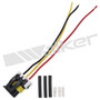 Walker Products Electrical Pigtail 270-1038