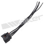 Walker Products Electrical Pigtail 270-1082