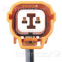 Standard Ignition ABS Speed Sensor ALS800 for 1998-2003 Acura/Honda 2.3L 3.0L (CL, TL, Accord)