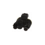 Standard Ignition Canister Purge Valve CP796 - connector view