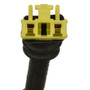 Standard Ignition Clock Spring CSP288 - connector view