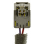 Standard Ignition Clock Spring CSP302 - alternate view