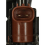 Standard Ignition Canister Purge Solenoid CP920 - connector view