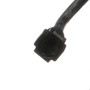 Standard Ignition Fuel Vapor Canister CP453 - connector view