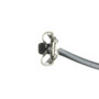 Standard Ignition Clock Spring CSP217