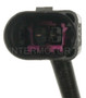 Standard Ignition Exhaust Gas Temperature Sensor ETS84 - connector view
