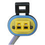 Standard Ignition Liftgate Release Switch DS-2178
