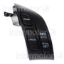Standard Ignition Cruise Control Switch CCA1019