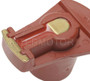 Standard Ignition Distributor Rotor GB-351