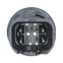 Standard Ignition Trunk Release Switch DS-2201