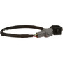 Standard Ignition Park Assist Camera PAC16 - angled view