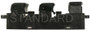Standard Ignition Power Window Switch DWS-321