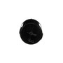 Standard Ignition Fuel Vapor Canister CP1022 - top view