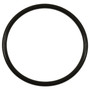 Standard Ignition Fuel Pump O-Ring GDR102 - front view