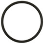 Standard Ignition Fuel Pump O-Ring GDR201 - front view