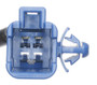 Standard Ignition Trunk Ajar Switch DS-1662