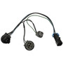 Standard Ignition Park and Turn Signal Socket S-2125