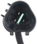 Standard Ignition Crankshaft Sensor PC541