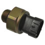 Standard Ignition Fuel Pressure Sensor FPS40 - front view