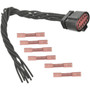 Standard Ignition Transmission Range Sensor Connector S-2225