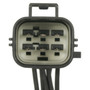 Standard Ignition Back-Up Light Socket S-1841