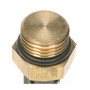 Standard Ignition Automatic Transmission Oil Temperature Sensor TS-421