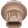 Standard Ignition Park and Turn Signal Socket S2552 - right view