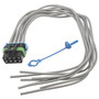 Standard Ignition Body Harness Connector S-1371